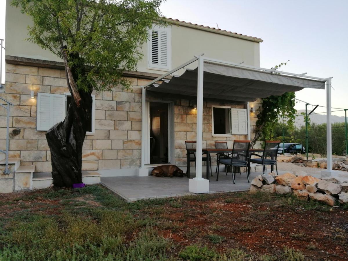 Olive Grove House Lumbarda Villa Luaran gambar